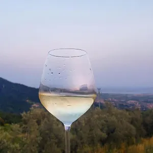  Bed & Breakfast Vinomare Italië